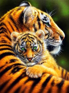 Тигрица и тигренок