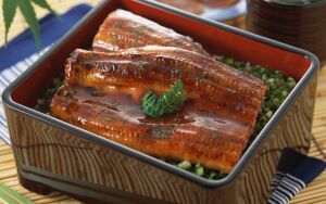 Угорь унаги