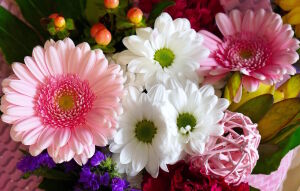 Георгины и герберы