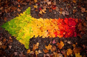 Указатель осени