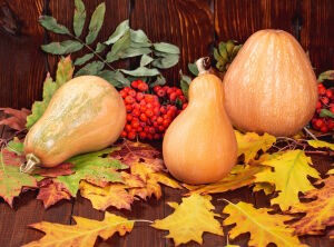 Тыквы и рябина