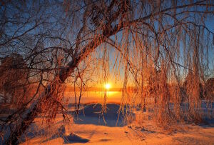 Зимний яркий закат