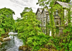 Дома и деревья