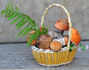 Грибочки в корзинке