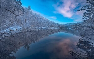 Река и деревья в снегу