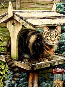 Кошка вместо птички