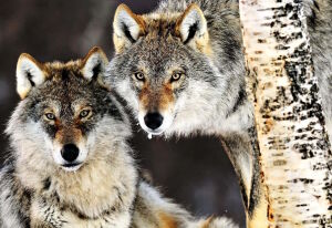 Ну здравствуйте