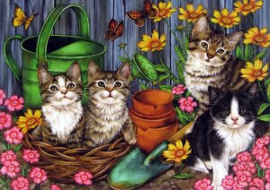 Котята помощники