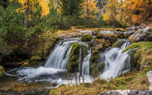 Водопад и ели