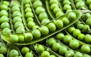 Зеленый молодой горошек