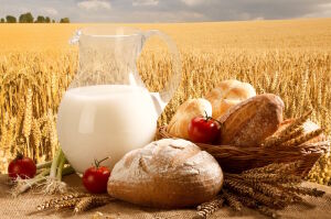 Хлеб и молоко