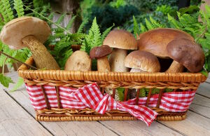 Грибочки на подбор