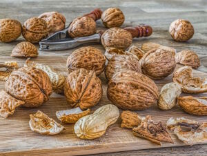 Скорлупа орехов