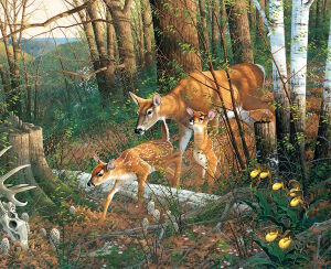 Неизвестная тропа