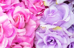 Лепестки цветов