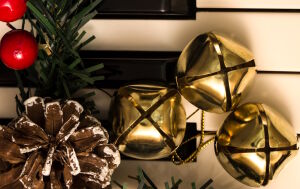 Шишка и бусины