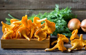 Лисички и лук