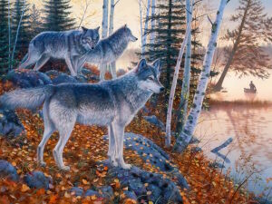 Волки и человек в лодке