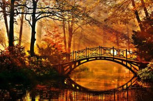 Осенний мост в парке