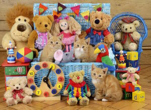 Котята игрята