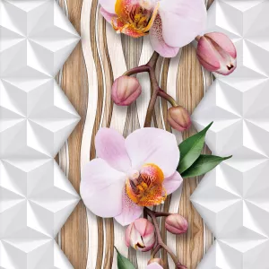 Орхидея на фоне