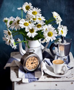 Ромашки и кофе