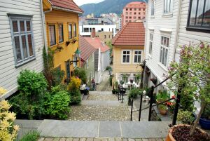 Берген горка