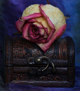 Роза и сундучок