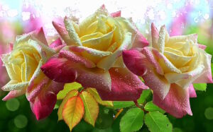 Осенние розочки