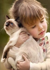 Девочка с сиамцем