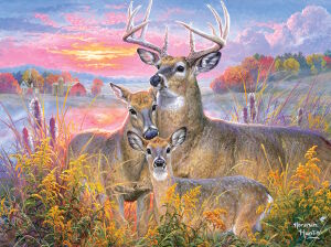 Семья оленя