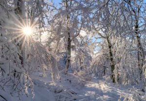 Ожидание зимы