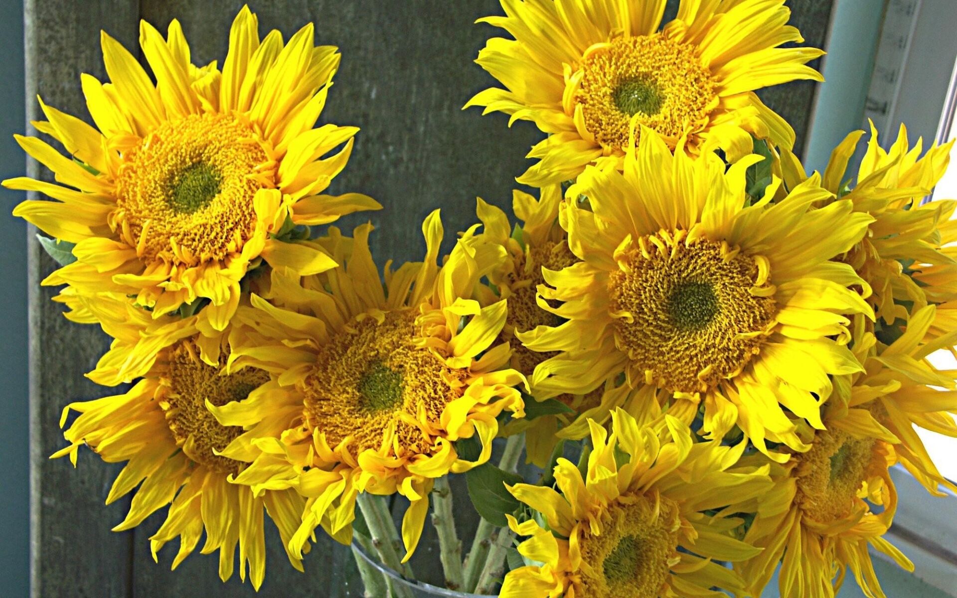 Подсолнухи букет