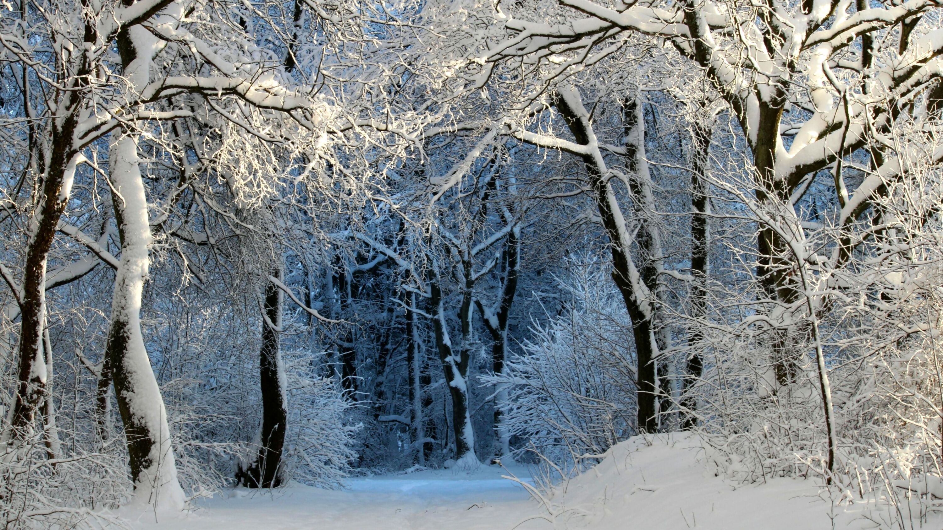 Кругом снег
