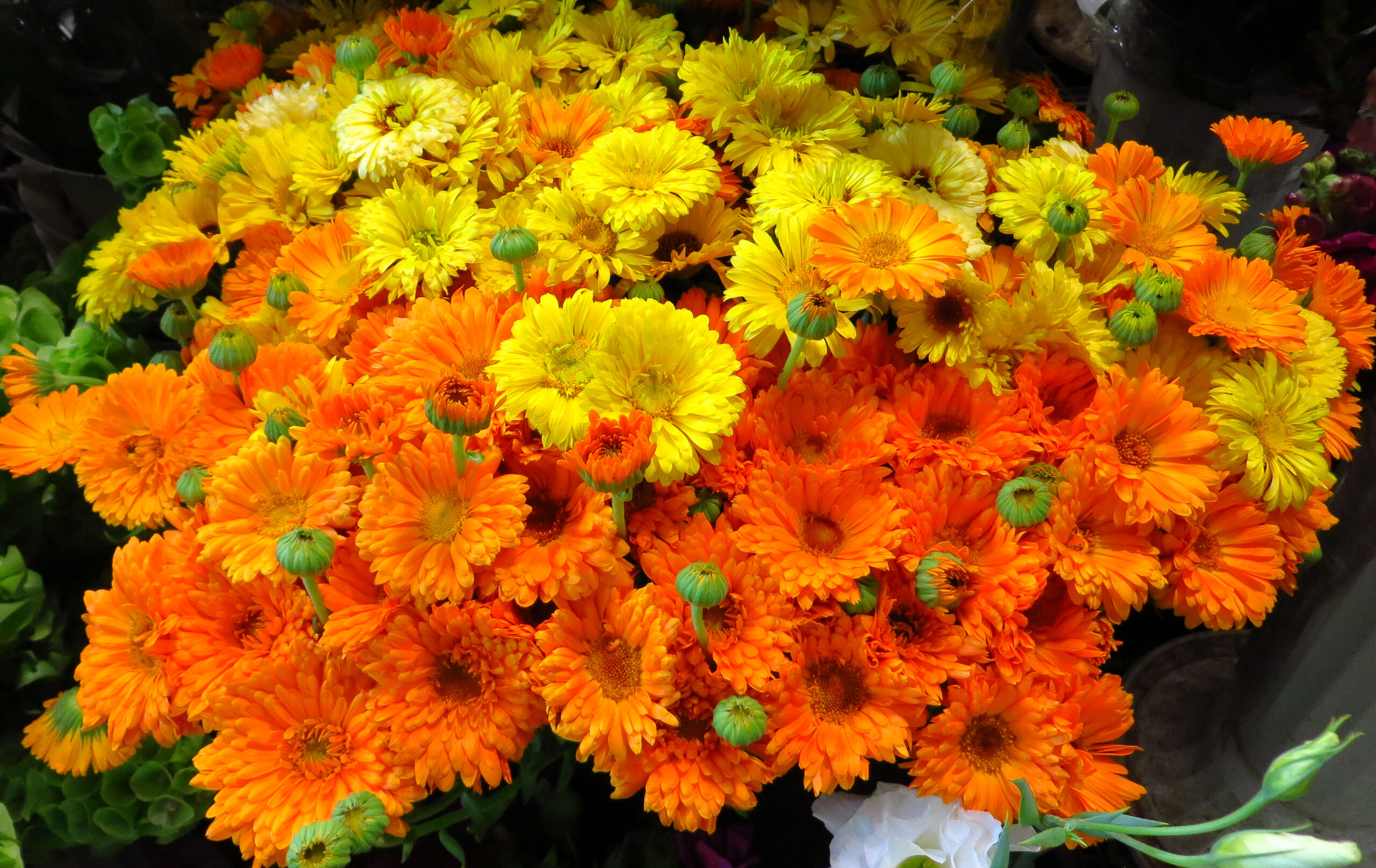 Оранжевые мелкие хризантемы