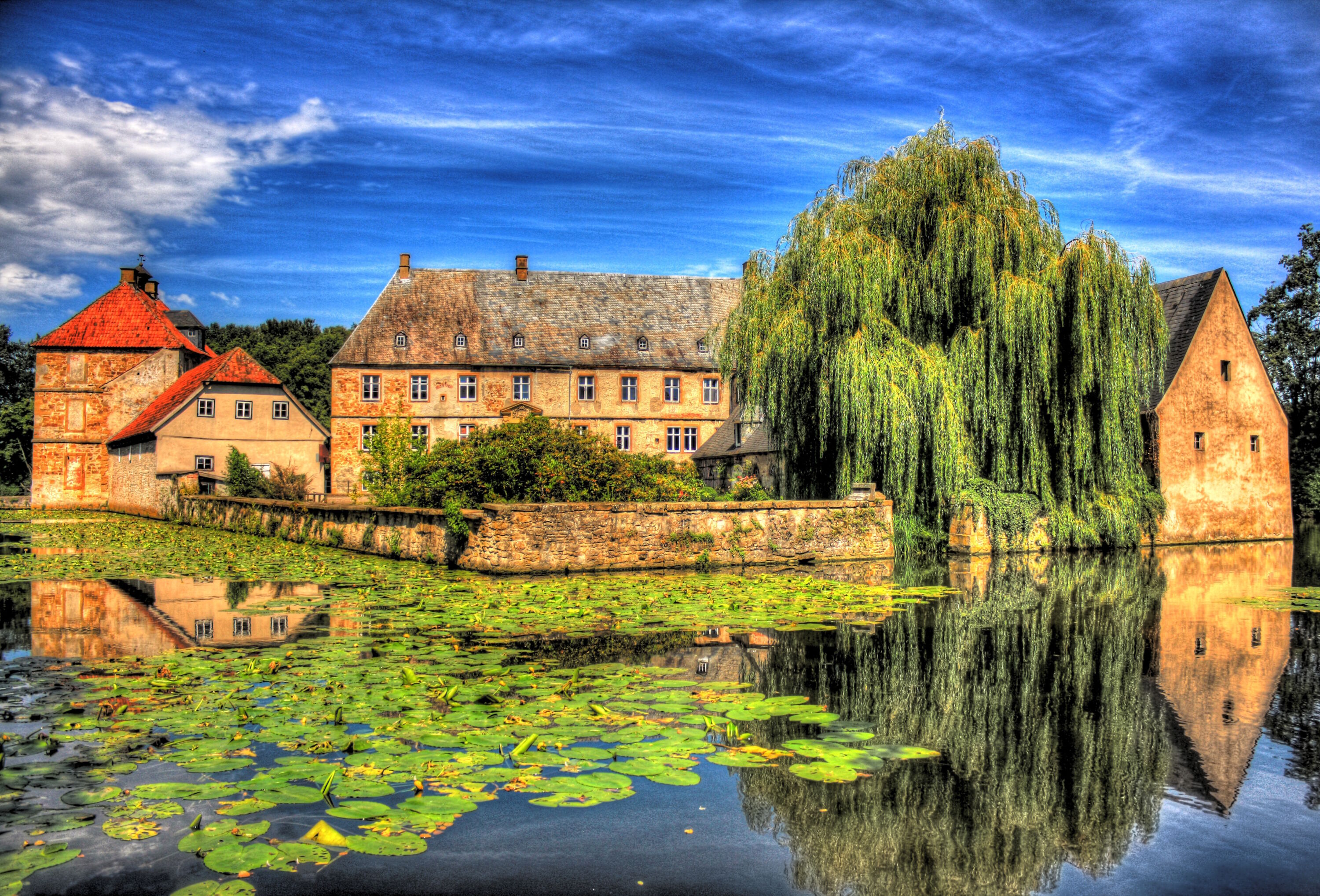 Кувшинки и дома