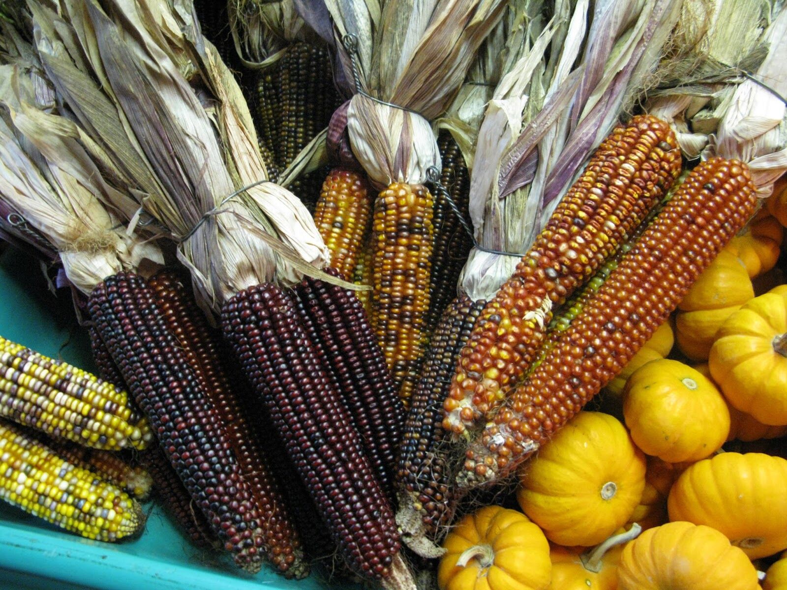 Кукуруза и тыковки