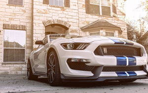 Shelby Mustang