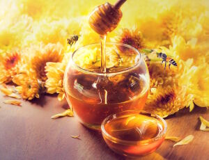 Мед и пчелы