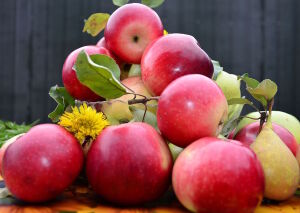 Красные яблоки и груши