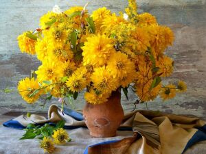 Цветы Золотой шар