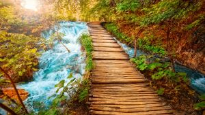 Деревянная дорожка