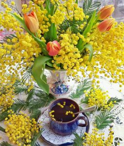 Тюльпаны с мимозой