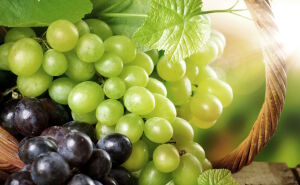 Виноград и солнце