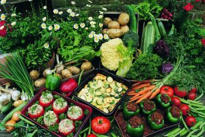 Овощи и блюда