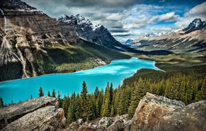 Пейто Канада