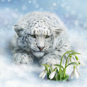 Ирбис и подснежники