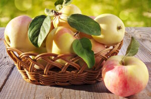 Светлые яблочки в корзинке