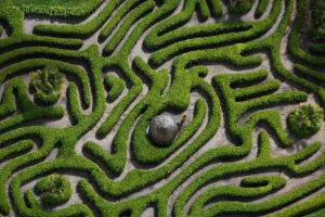 Хэмптон-Кортский лабиринт