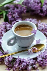 Кофе и цветы сирени